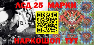 прущие грибы Абинск