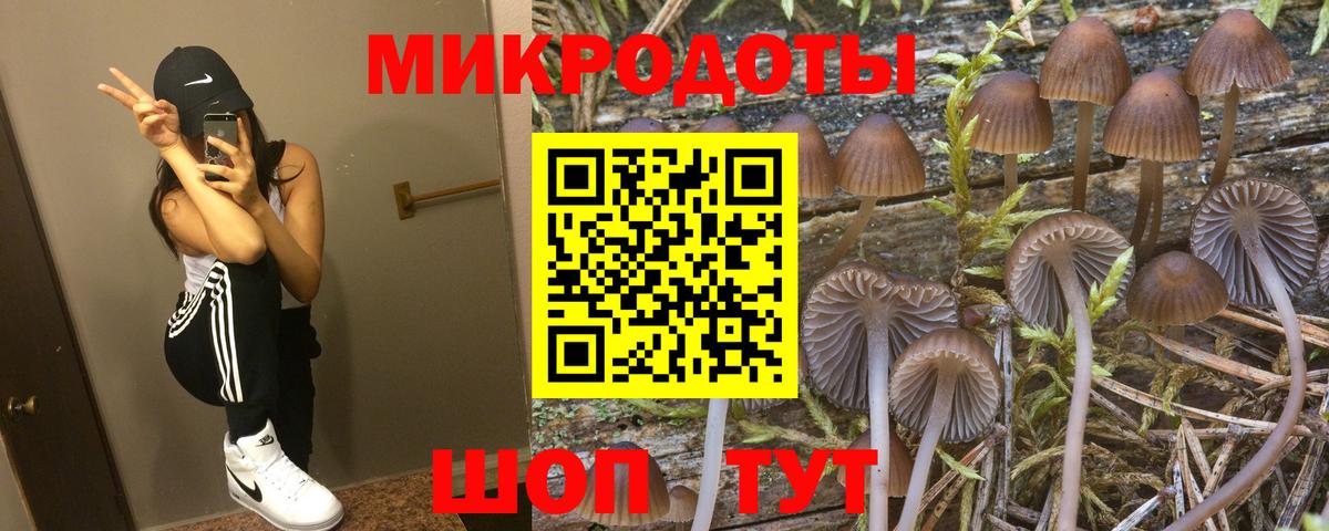Псилоцибиновые грибы прущие грибы Ржев