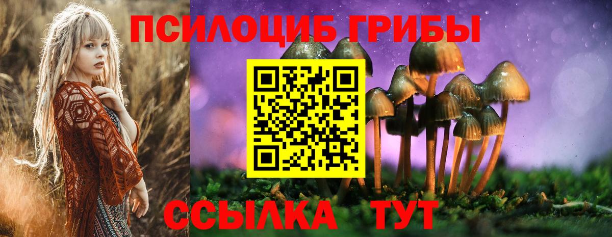 Галлюциногенные грибы GOLDEN TEACHER  Вход с VPN  Псилоцибиновые грибы MAGIC MUSHROOMS  Ржев 
